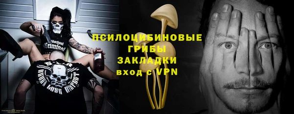 прущий лед Магас