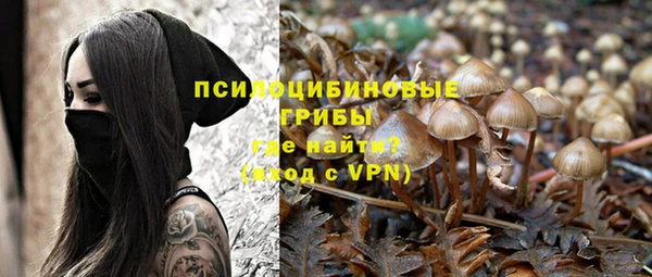 каннабис Майский