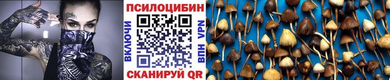 Псилоцибиновые грибы ЛСД  Купить где  Нязепетровск 